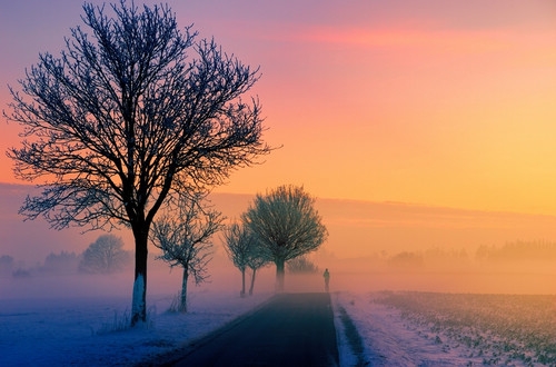 空气污染对儿童哮喘的影响和预防