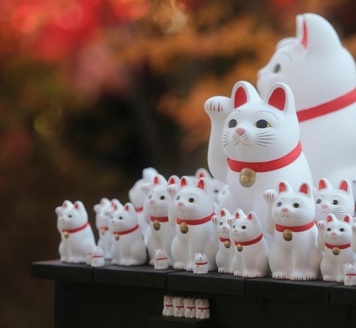 心理咨询师:情绪的价值与力量